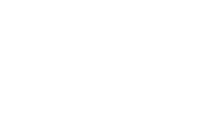 The HE Sector